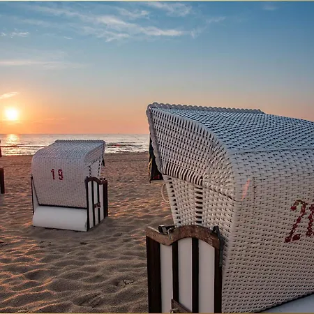 Seeblick Anlage Lachmoewe *