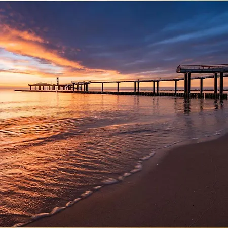 Seeblick Anlage Lachmoewe * 科瑟罗