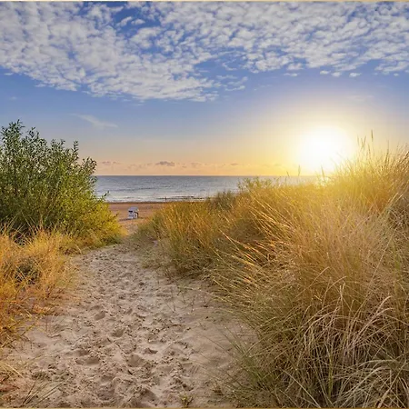 Seeblick Anlage Lachmoewe 公寓 科瑟罗