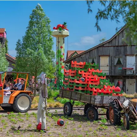 Seeblick Anlage Lachmoewe 公寓